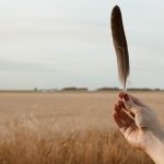 black feather